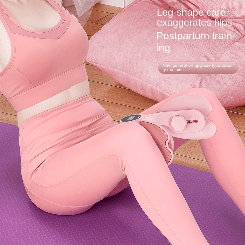 Inner Thigh Exercise Equipment